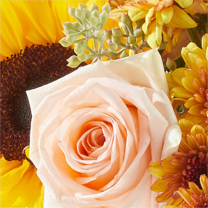 Pumpkin to Talk About Bouquet –  Salon Diane Aubin Fleuriste Inc., Jonquiere PQ