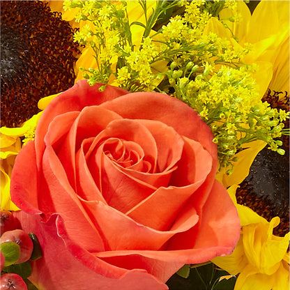Pick of the Patch Pumpkin Bouquet –  Salon Diane Aubin Fleuriste Inc., Jonquiere PQ