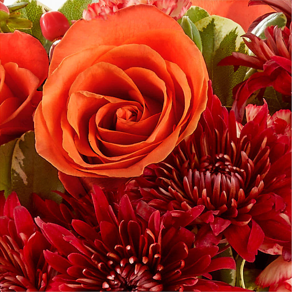 Autumn Air Pumpkin Bouquet –  Salon Diane Aubin Fleuriste Inc., Jonquiere PQ