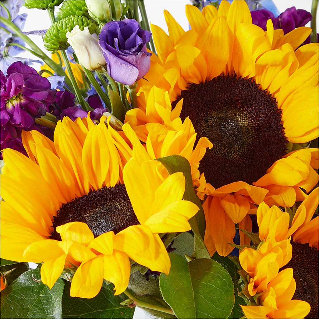 Catching Rays Bouquet –  Salon Diane Aubin Fleuriste Inc., Jonquiere PQ
