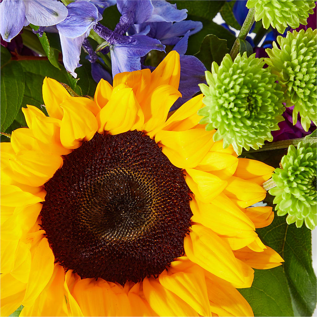 Catching Rays Bouquet –  Salon Diane Aubin Fleuriste Inc., Jonquiere PQ