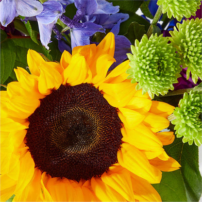 Catching Rays Bouquet –  Salon Diane Aubin Fleuriste Inc., Jonquiere PQ