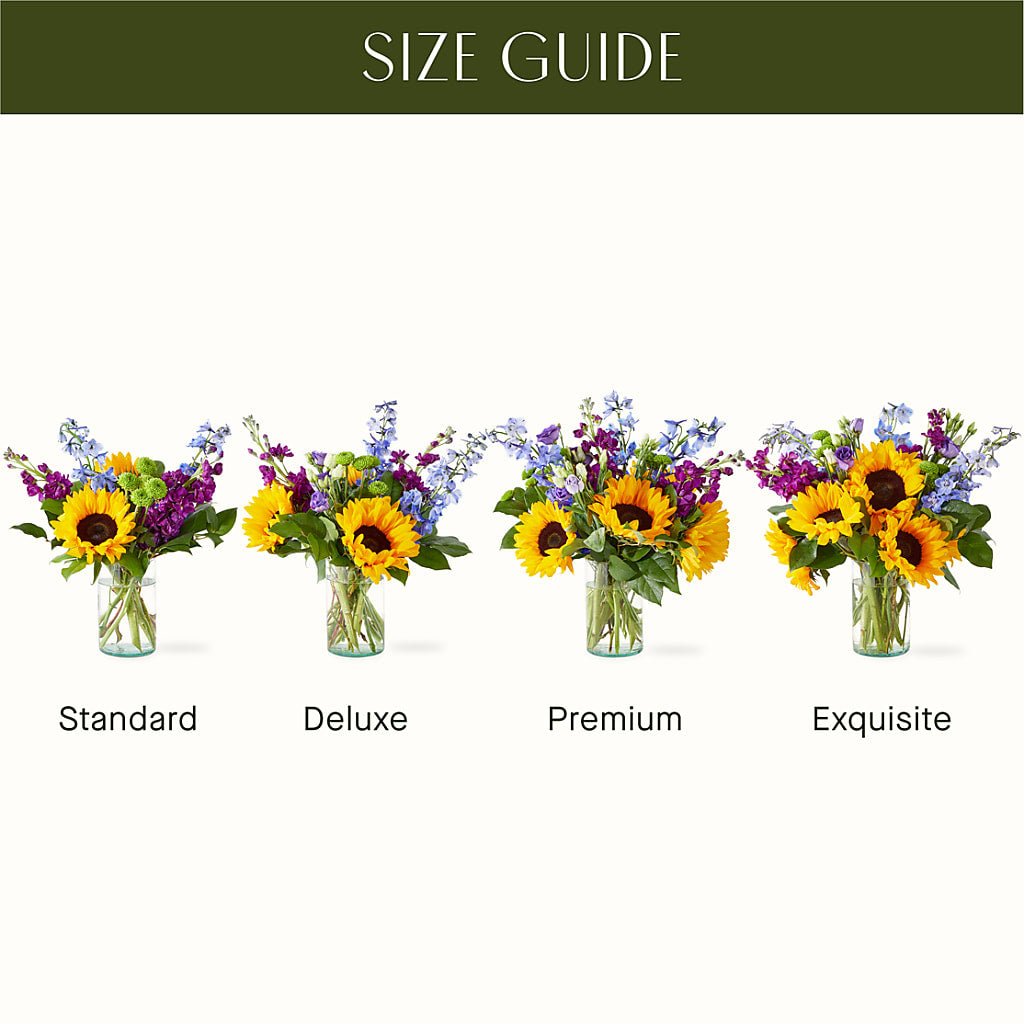 Catching Rays Bouquet –  Salon Diane Aubin Fleuriste Inc., Jonquiere PQ