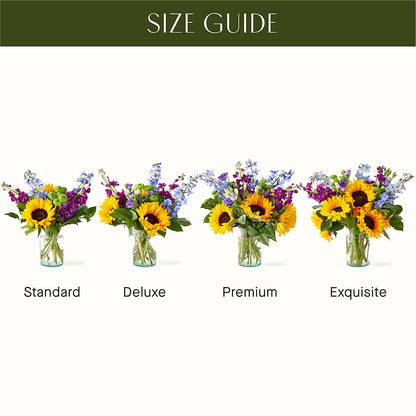 Catching Rays Bouquet –  Salon Diane Aubin Fleuriste Inc., Jonquiere PQ