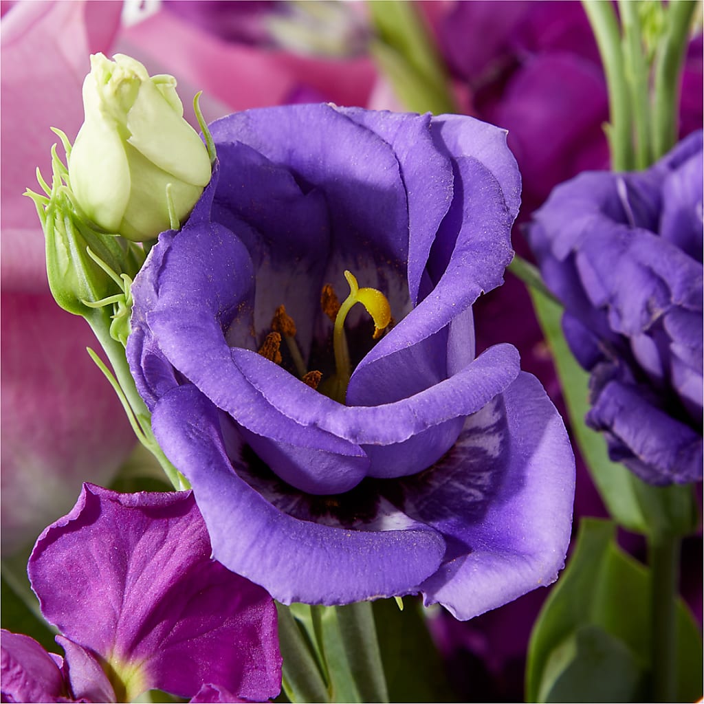 Twilight Glow Bouquet –  Salon Diane Aubin Fleuriste Inc., Jonquiere PQ