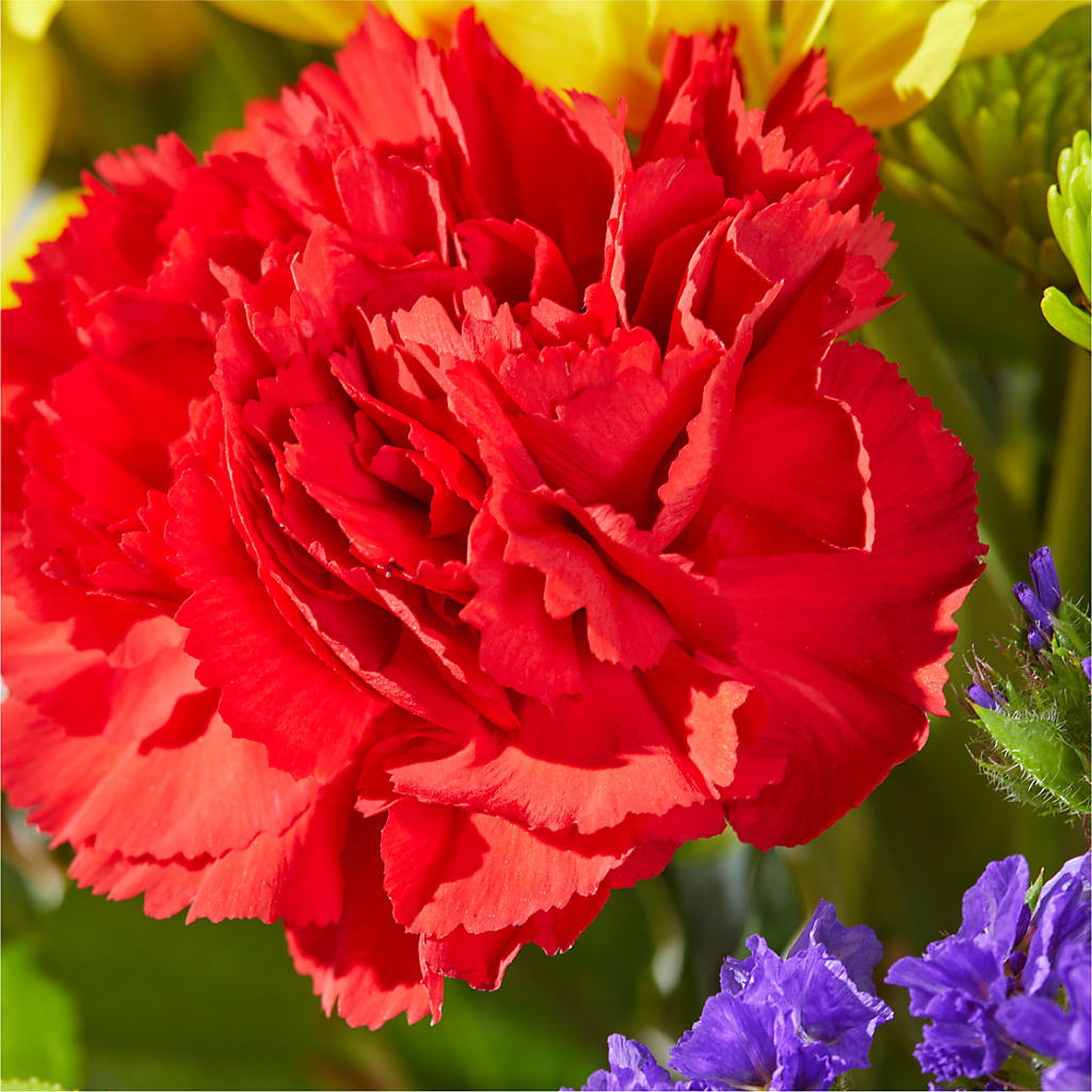 Brighter Days Bouquet –  Salon Diane Aubin Fleuriste Inc., Jonquiere PQ