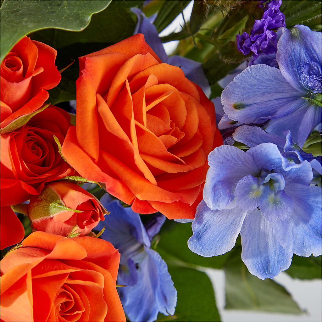 Radiant Citrus Bouquet –  Salon Diane Aubin Fleuriste Inc., Jonquiere PQ