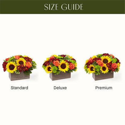Happy Harvest Garden –  Salon Diane Aubin Fleuriste Inc., Jonquiere PQ