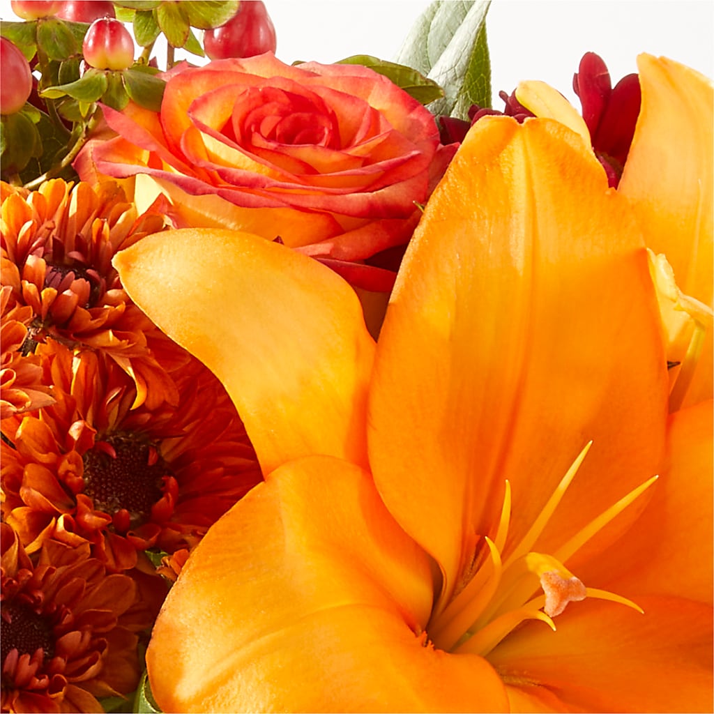 Backyard Bonfire Bouquet –  Salon Diane Aubin Fleuriste Inc., Jonquiere PQ