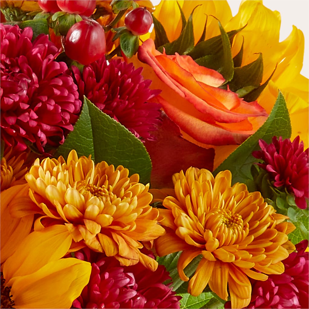 Sweater Season - A Florist Original –  Salon Diane Aubin Fleuriste Inc., Jonquiere PQ