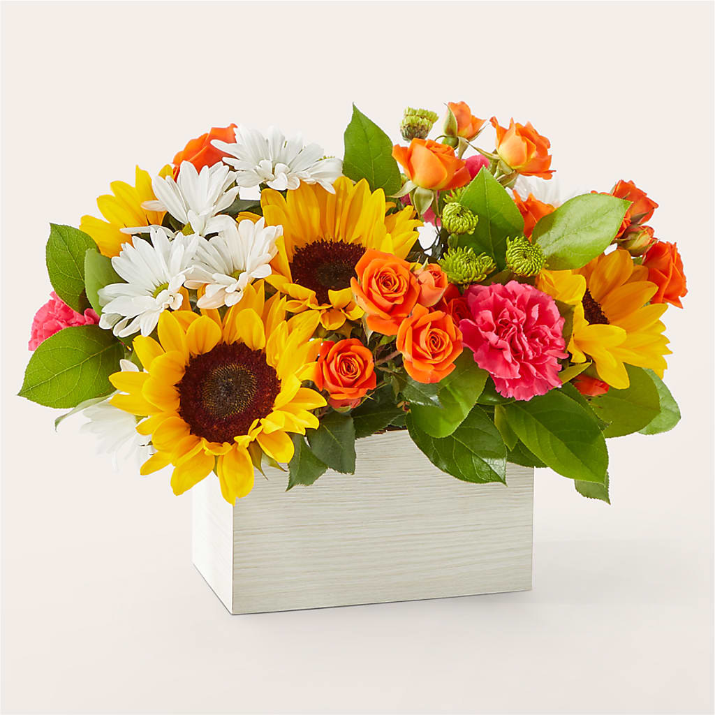 Sun-drenched Blooms Box Bouquet –  Salon Diane Aubin Fleuriste Inc., Jonquiere PQ