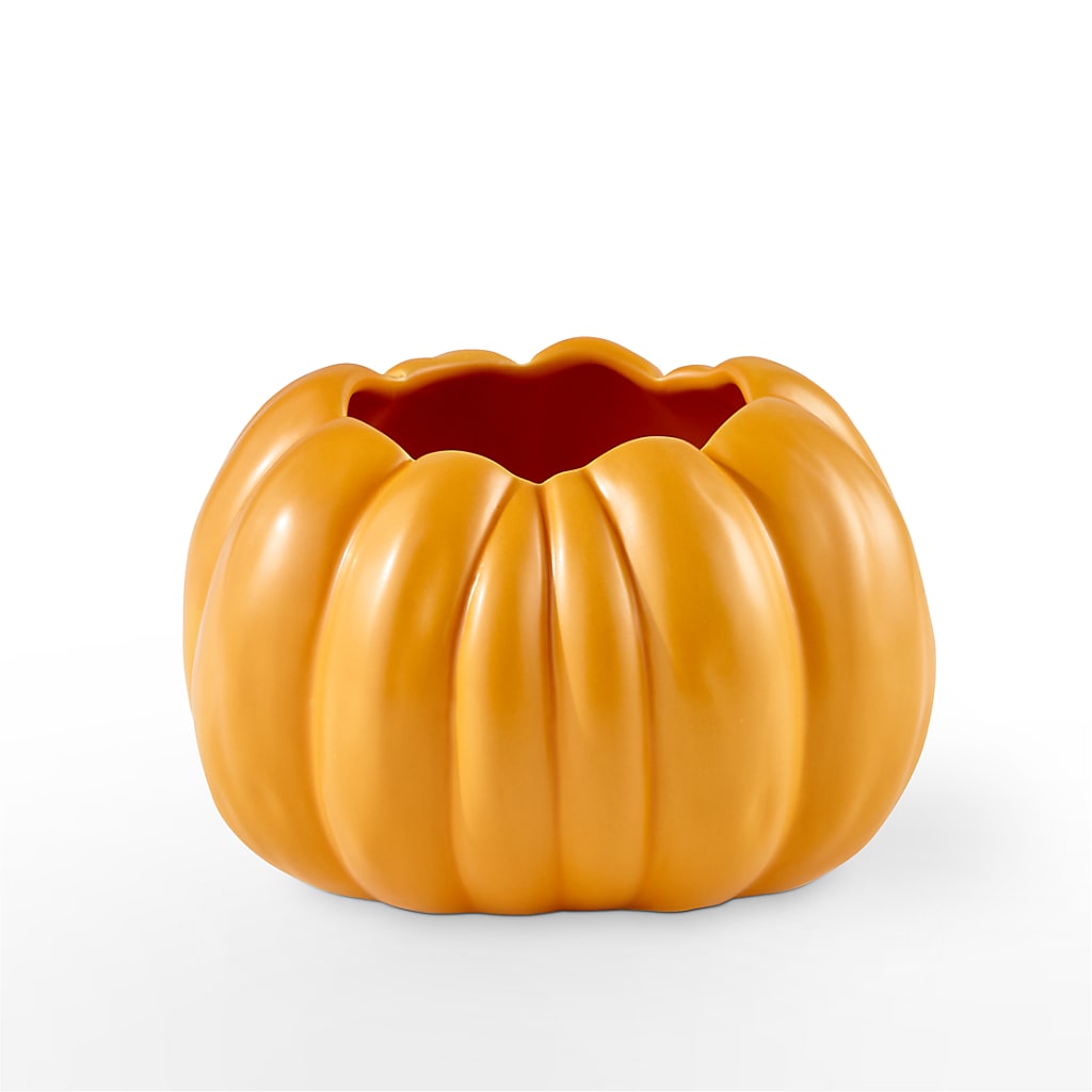 Pick of the Patch Pumpkin Bouquet –  Salon Diane Aubin Fleuriste Inc., Jonquiere PQ