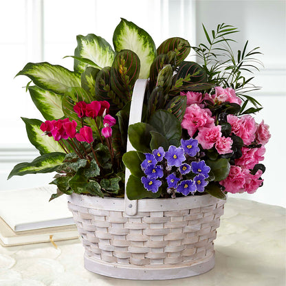 Peaceful Garden Planter –  Salon Diane Aubin Fleuriste Inc., Jonquiere PQ