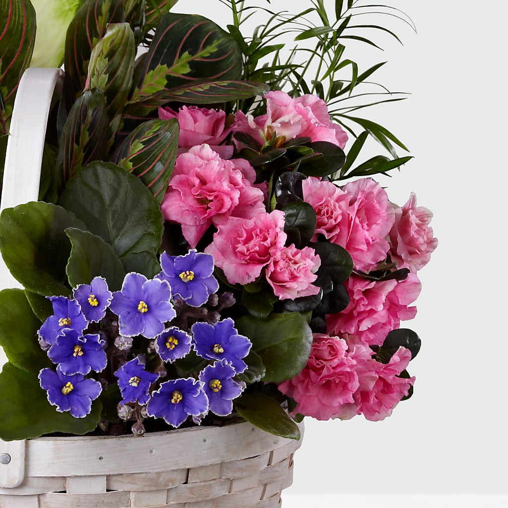 Peaceful Garden Planter –  Salon Diane Aubin Fleuriste Inc., Jonquiere PQ