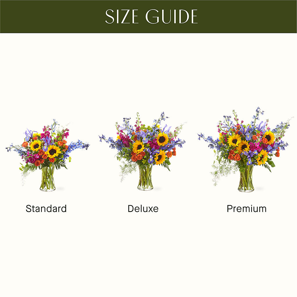 Rays of Life Bouquet –  Salon Diane Aubin Fleuriste Inc., Jonquiere PQ