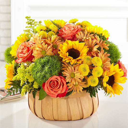 Harvest Sunflower Basket –  Salon Diane Aubin Fleuriste Inc., Jonquiere PQ