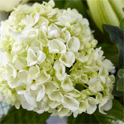 Classic Ivory – A Florist Original –  Salon Diane Aubin Fleuriste Inc., Jonquiere PQ