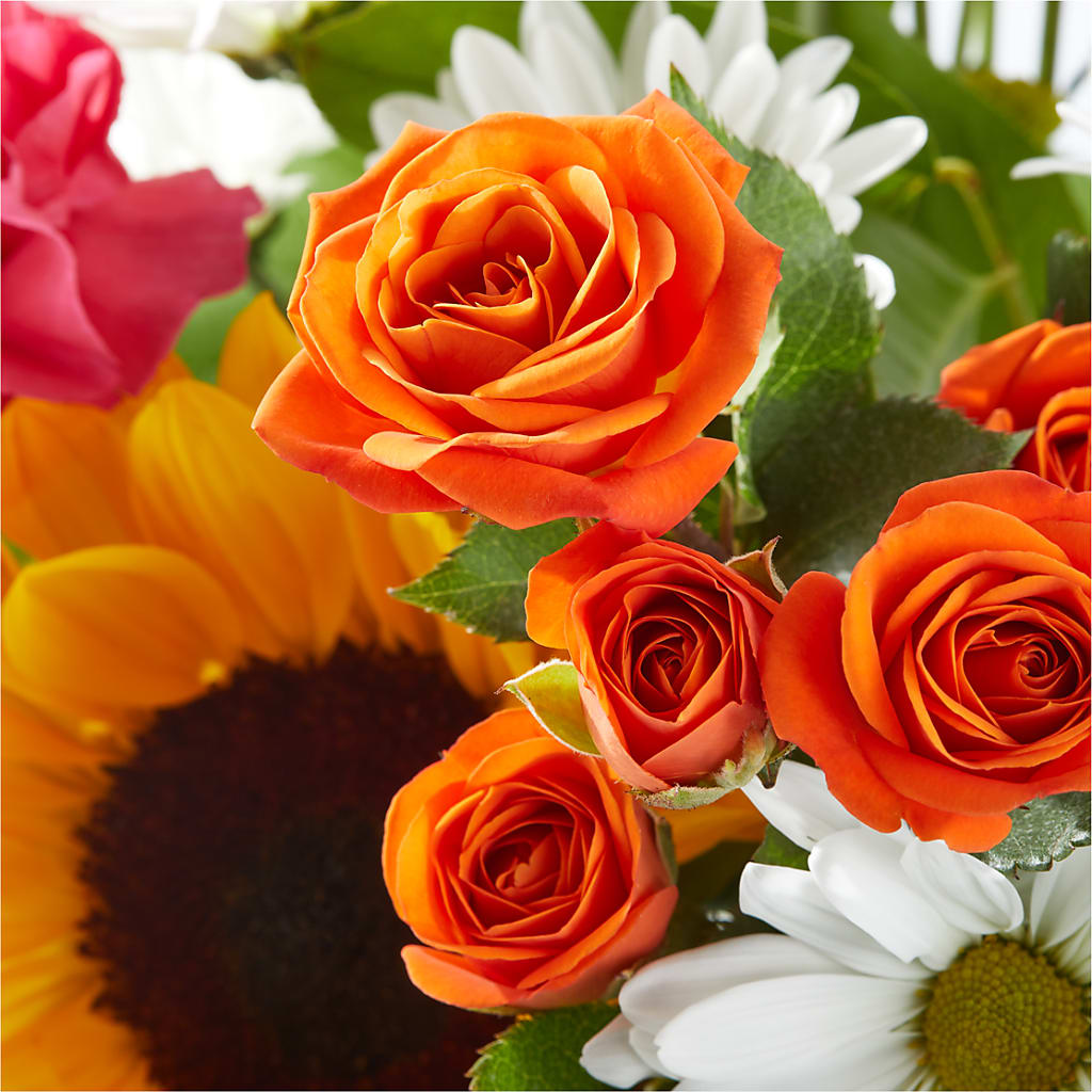 Sun-drenched Blooms Bouquet –  Salon Diane Aubin Fleuriste Inc., Jonquiere PQ