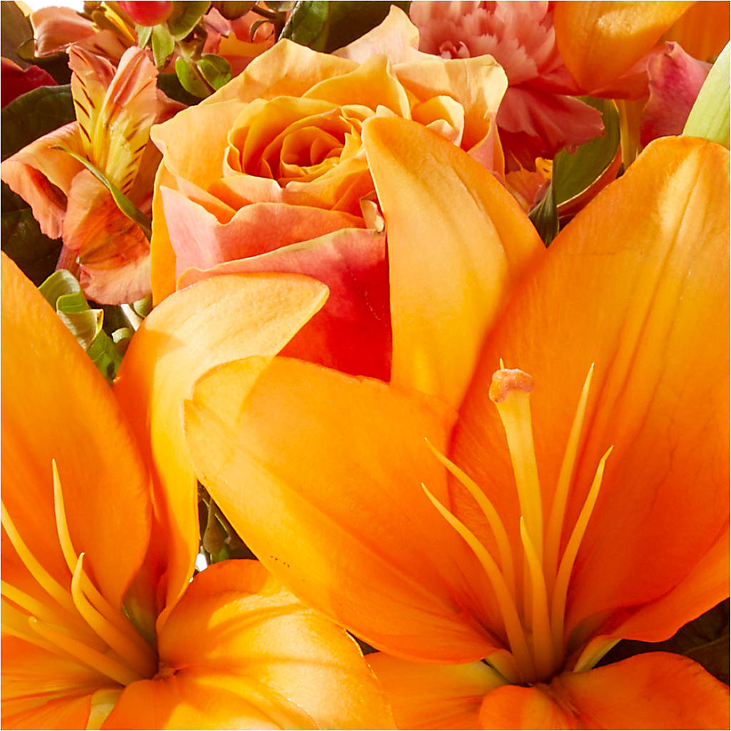 Afternoon Light Bouquet –  Salon Diane Aubin Fleuriste Inc., Jonquiere PQ