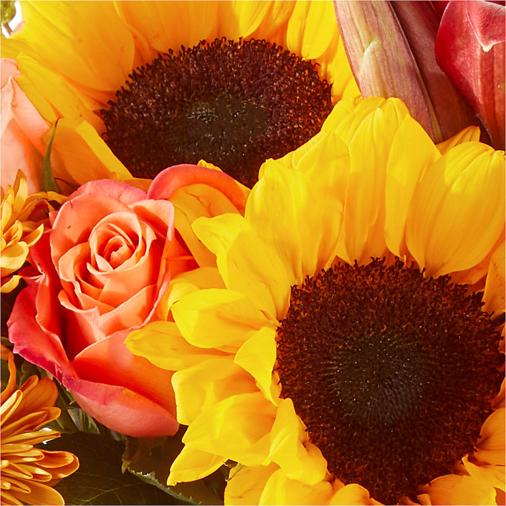 Acorn Lane Bouquet –  Salon Diane Aubin Fleuriste Inc., Jonquiere PQ