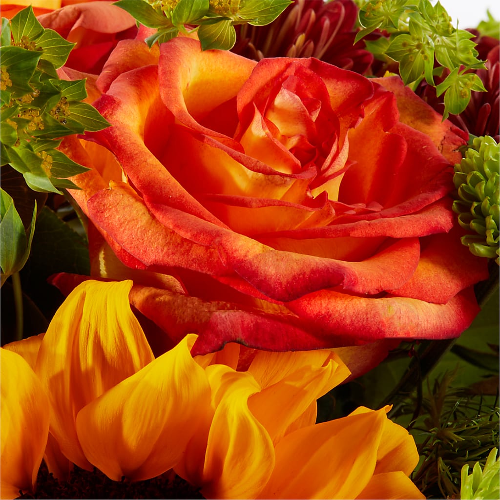 Harvest Festival Bouquet –  Salon Diane Aubin Fleuriste Inc., Jonquiere PQ
