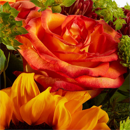 Harvest Festival Bouquet –  Salon Diane Aubin Fleuriste Inc., Jonquiere PQ