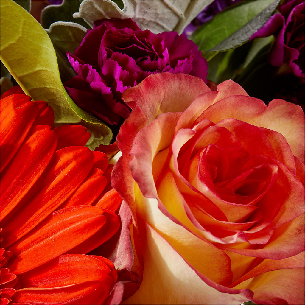 Sangria Bouquet –  Salon Diane Aubin Fleuriste Inc., Jonquiere PQ