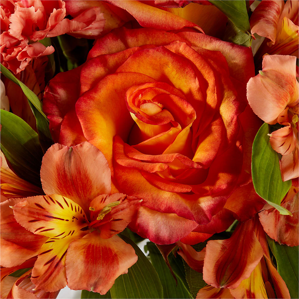 Apricot Glow Bouquet –  Salon Diane Aubin Fleuriste Inc., Jonquiere PQ