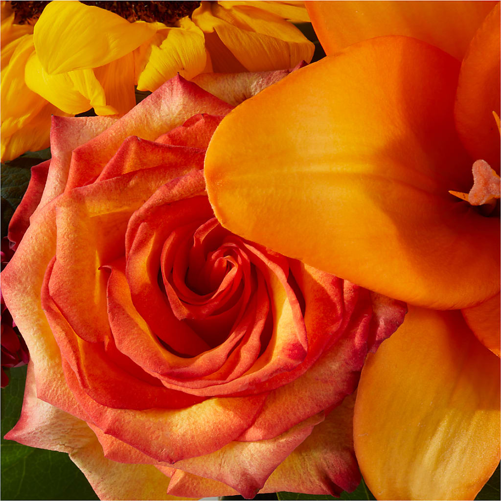 Grateful Centerpiece –  Salon Diane Aubin Fleuriste Inc., Jonquiere PQ