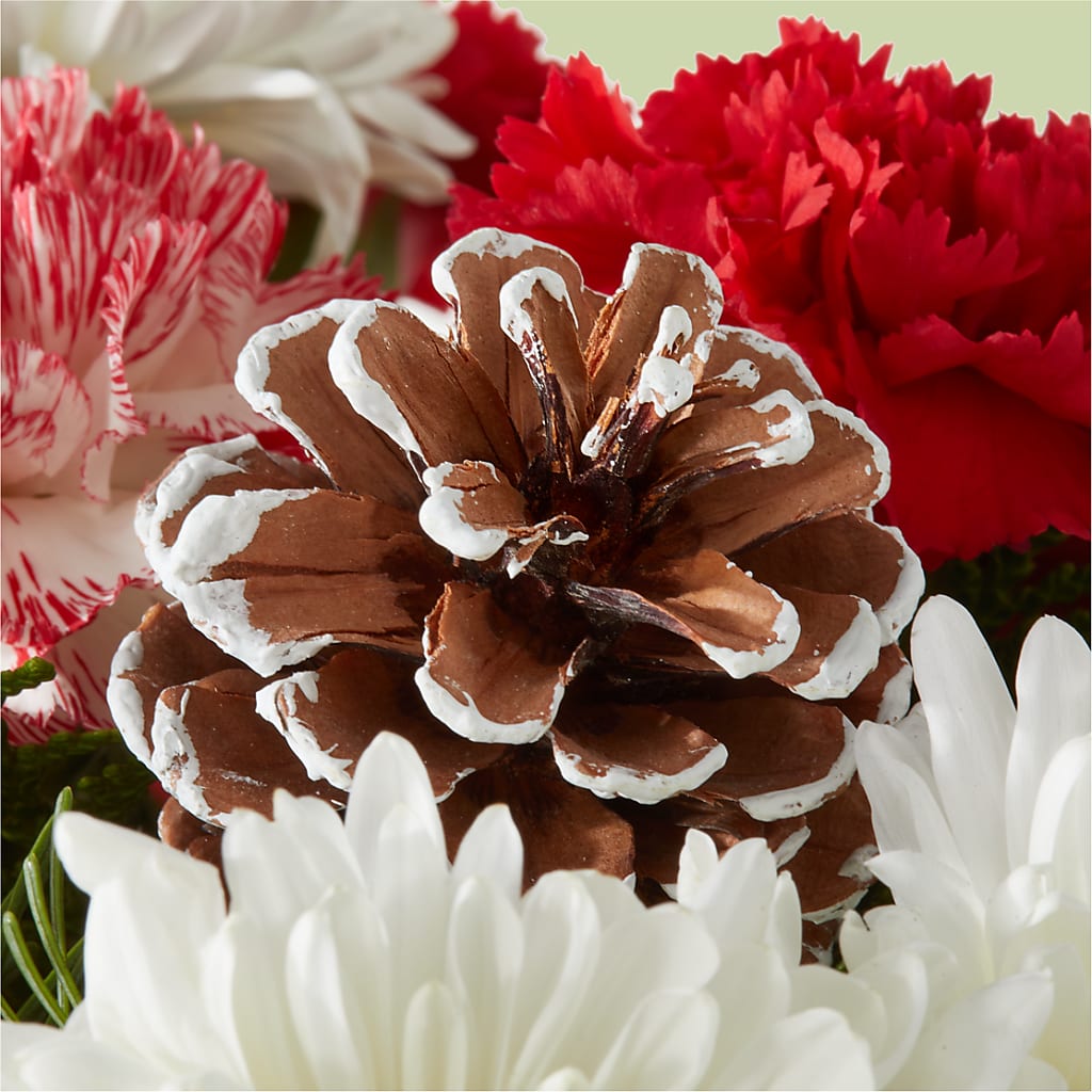 Candy Cane Lane Bouquet –  Salon Diane Aubin Fleuriste Inc., Jonquiere PQ