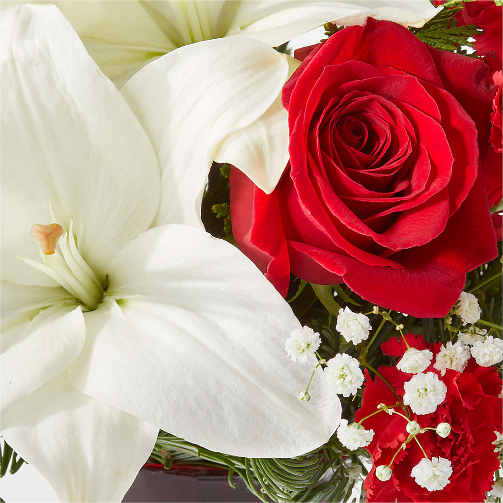 Holiday Season Bouquet –  Salon Diane Aubin Fleuriste Inc., Jonquiere PQ
