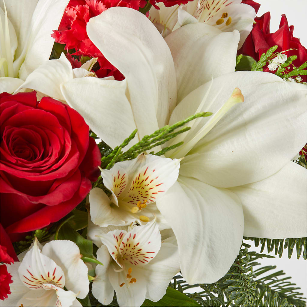 Holiday Season Bouquet –  Salon Diane Aubin Fleuriste Inc., Jonquiere PQ