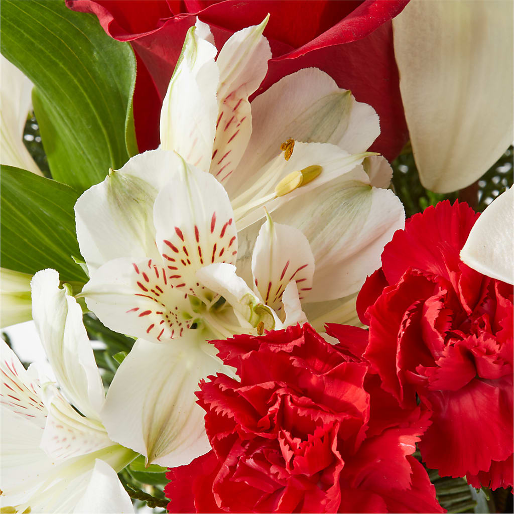 Holiday Season Bouquet –  Salon Diane Aubin Fleuriste Inc., Jonquiere PQ