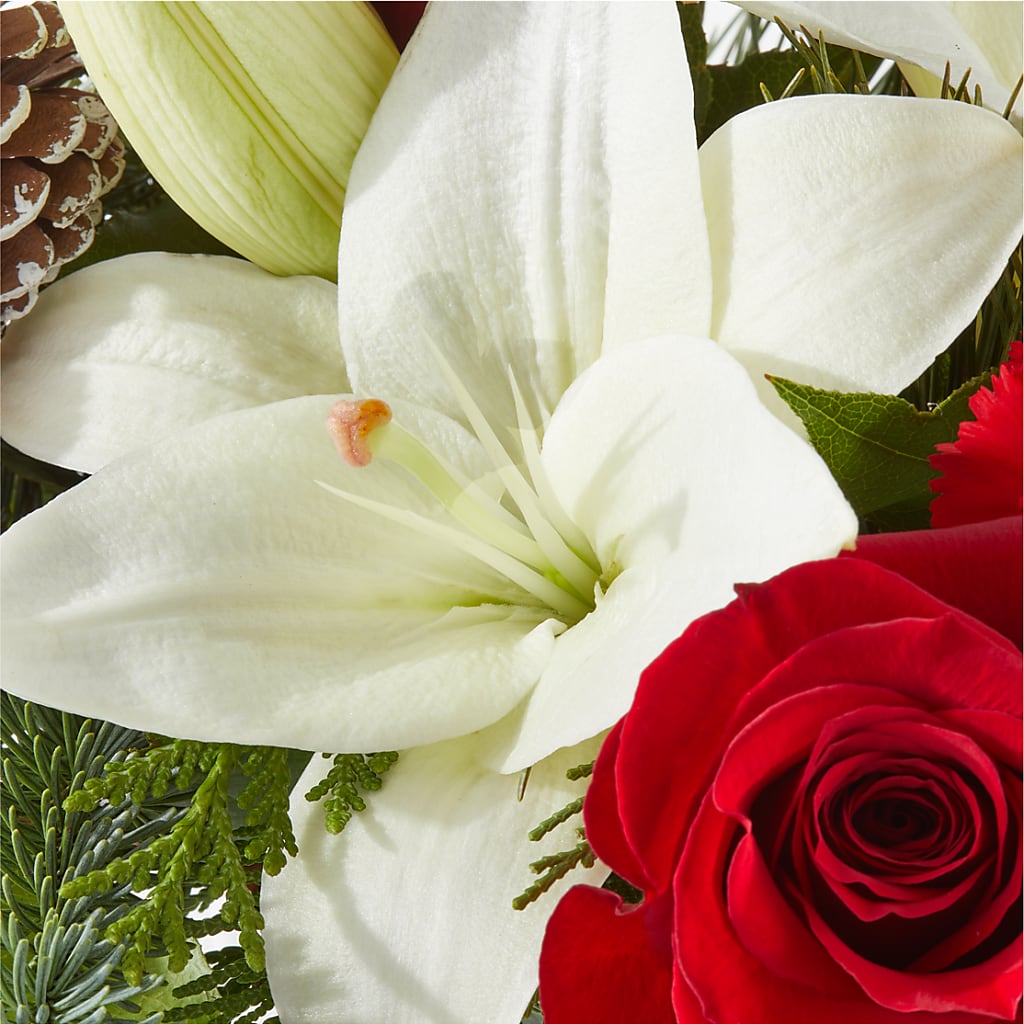 Oh So Jolly Bouquet –  Salon Diane Aubin Fleuriste Inc., Jonquiere PQ