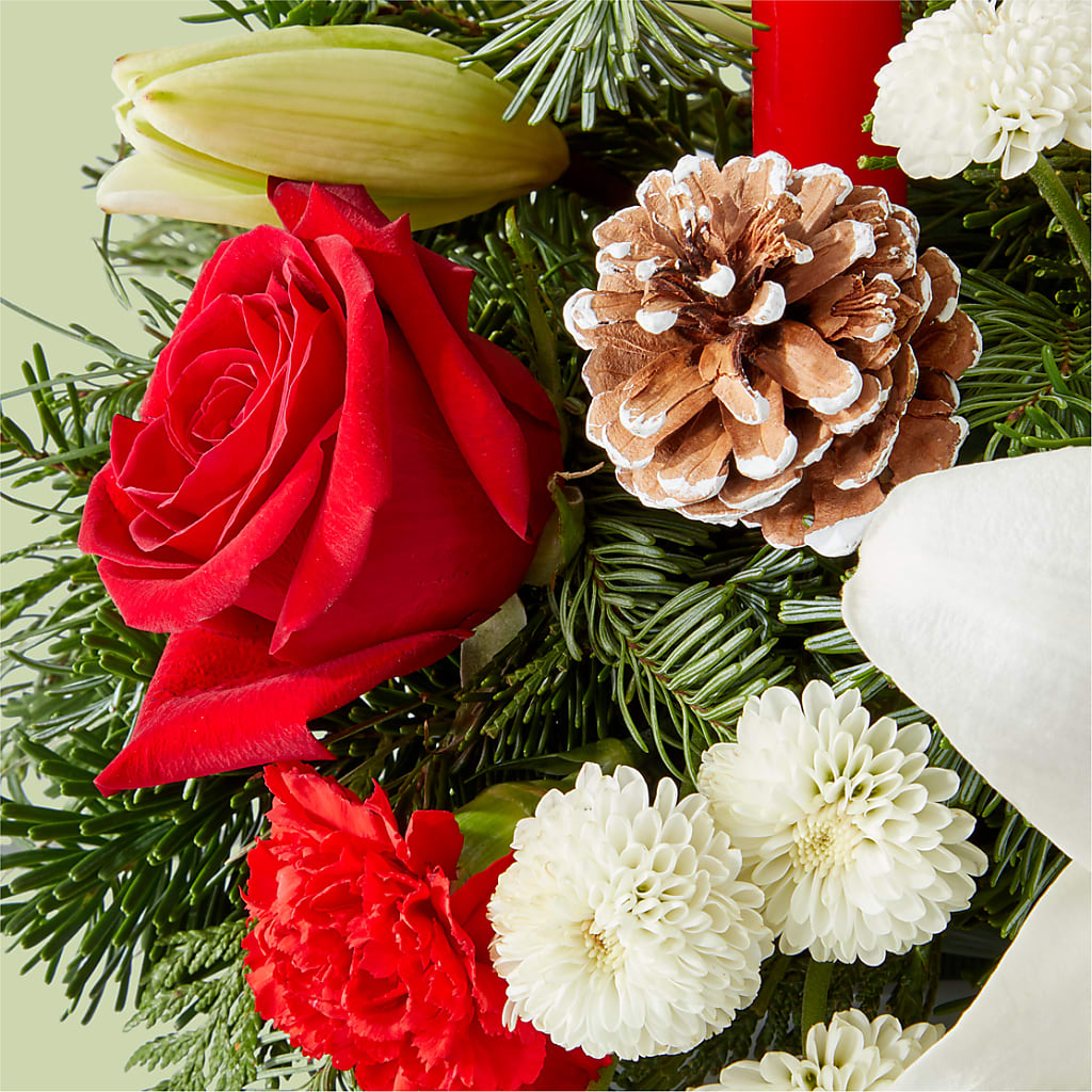 Seasonal Festivities Centerpiece –  Salon Diane Aubin Fleuriste Inc., Jonquiere PQ