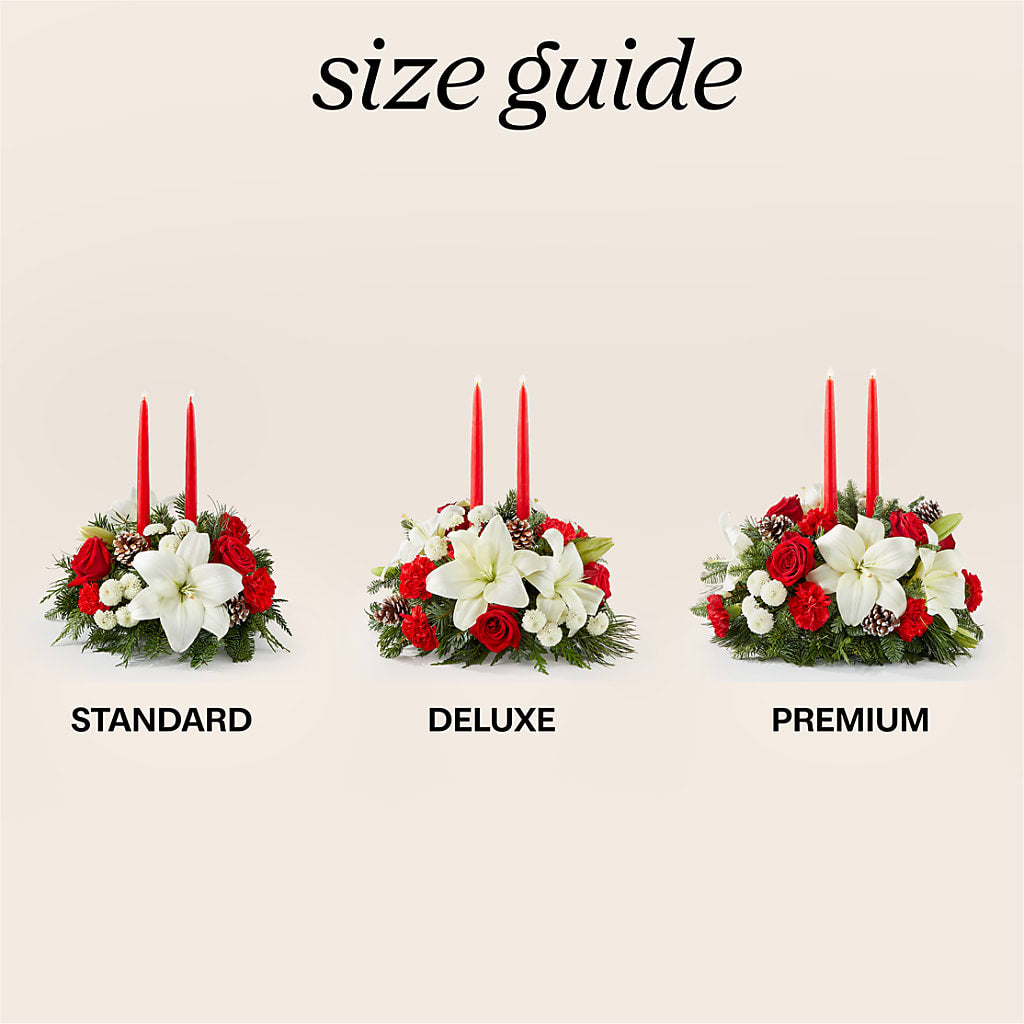Seasonal Festivities Centerpiece –  Salon Diane Aubin Fleuriste Inc., Jonquiere PQ