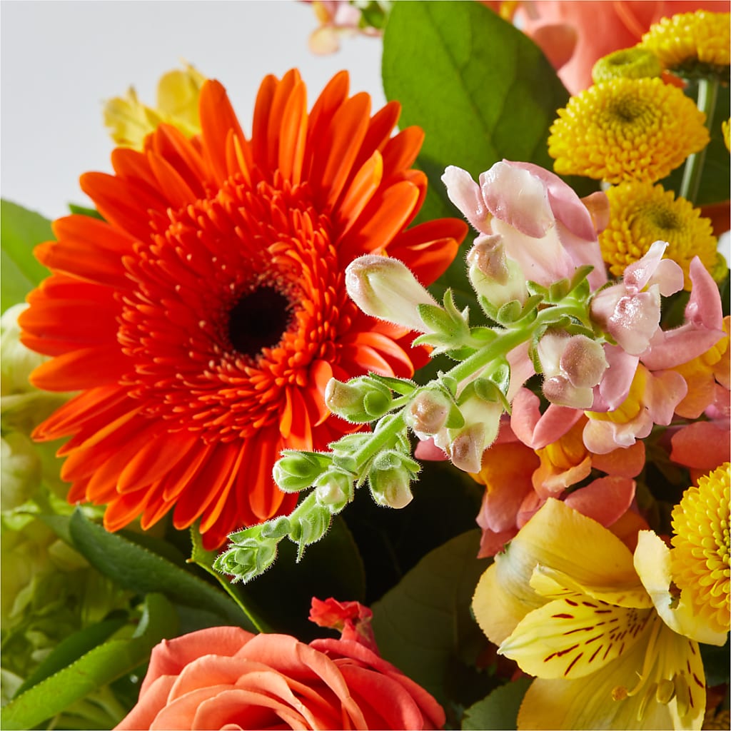 Autumn Sunshine Bouquet –  Salon Diane Aubin Fleuriste Inc., Jonquiere PQ