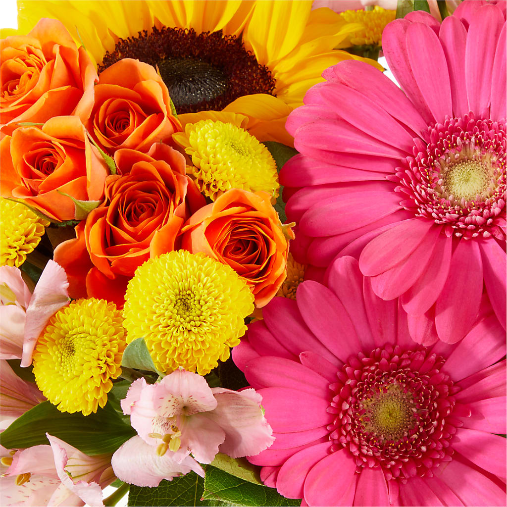 Beach Day Bouquet –  Salon Diane Aubin Fleuriste Inc., Jonquiere PQ