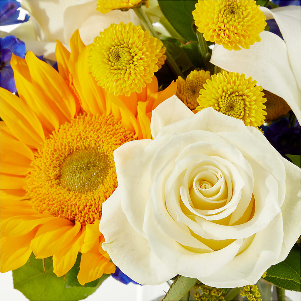 Stargazing Bouquet –  Salon Diane Aubin Fleuriste Inc., Jonquiere PQ