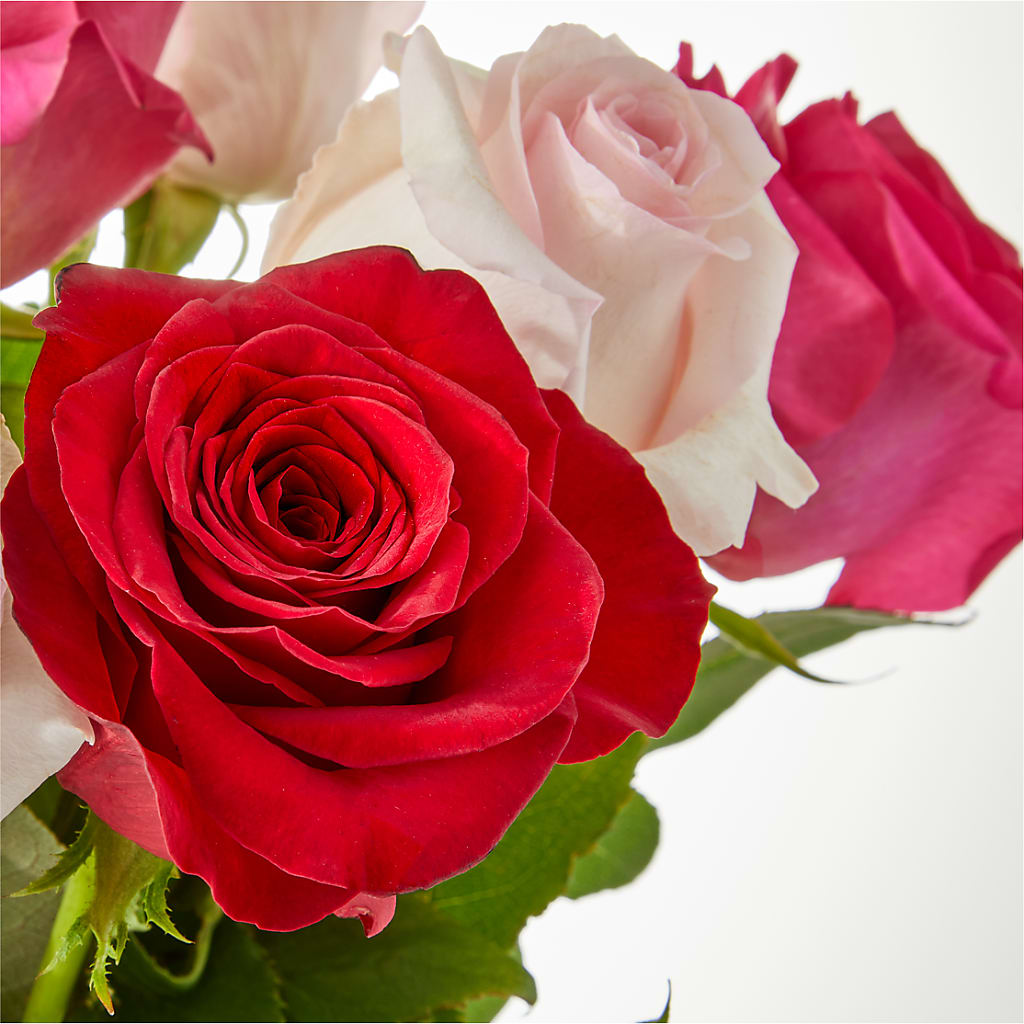 Charming Rose Bouquet –  Salon Diane Aubin Fleuriste Inc., Jonquiere PQ
