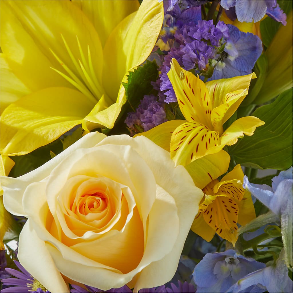 Limoncello Bouquet –  Salon Diane Aubin Fleuriste Inc., Jonquiere PQ