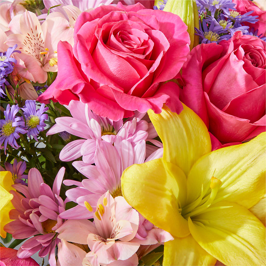 Sprinkles Bouquet –  Salon Diane Aubin Fleuriste Inc., Jonquiere PQ