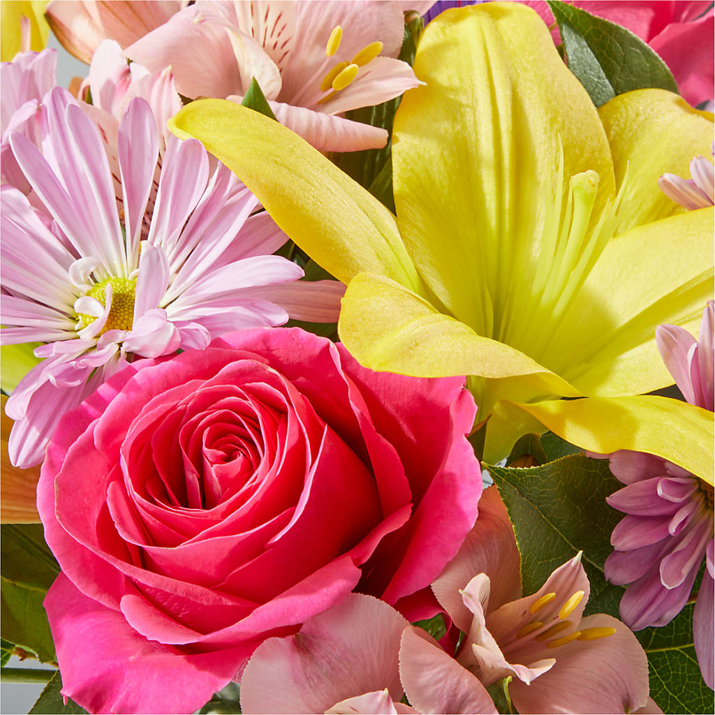 Sprinkles Bouquet –  Salon Diane Aubin Fleuriste Inc., Jonquiere PQ