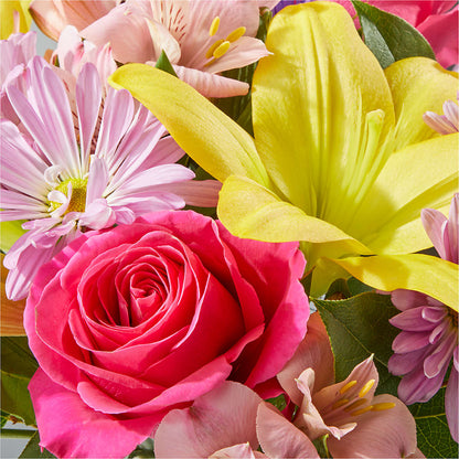 Sprinkles Bouquet –  Salon Diane Aubin Fleuriste Inc., Jonquiere PQ