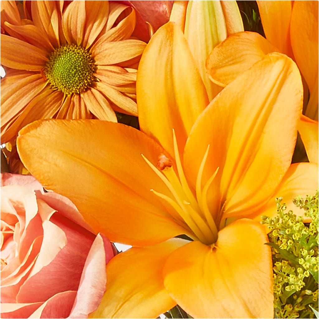 Harvest Hayride Bouquet –  Salon Diane Aubin Fleuriste Inc., Jonquiere PQ