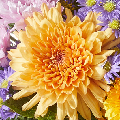 Countryside Bouquet –  Salon Diane Aubin Fleuriste Inc., Jonquiere PQ