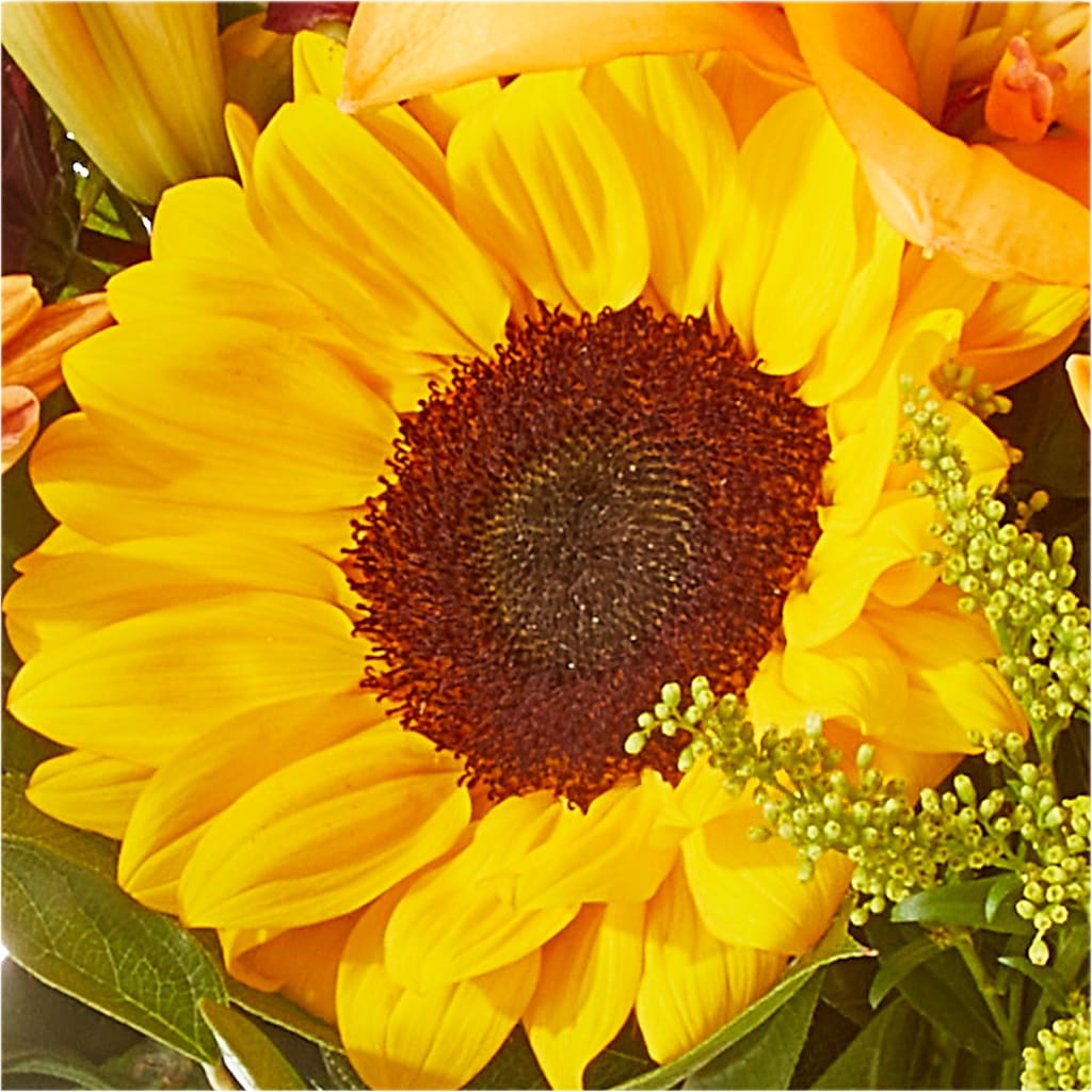 Seasons Change Bouquet –  Salon Diane Aubin Fleuriste Inc., Jonquiere PQ