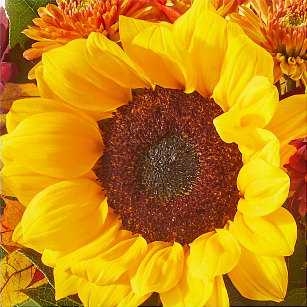 Sunny Side Bouquet –  Salon Diane Aubin Fleuriste Inc., Jonquiere PQ