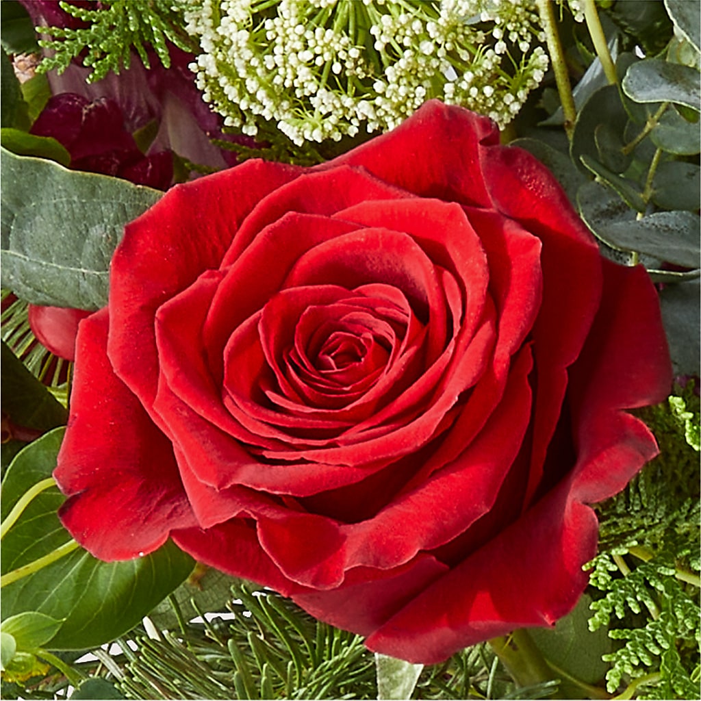 Cranberry Fizz Bouquet –  Salon Diane Aubin Fleuriste Inc., Jonquiere PQ