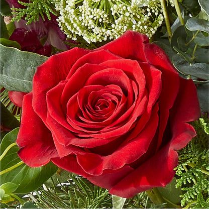 Cranberry Fizz Bouquet –  Salon Diane Aubin Fleuriste Inc., Jonquiere PQ